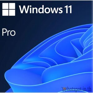 Windows Pro 11
